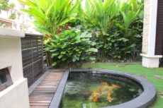 7 desain kolam ikan koi minimalis, sederhana dan indah